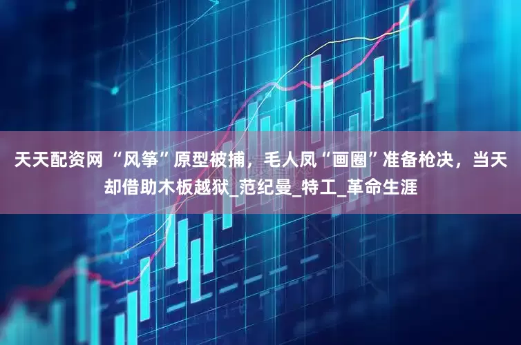 天天配资网 “风筝”原型被捕，毛人凤“画圈”准备枪决，当天却借助木板越狱_范纪曼_特工_革命生涯