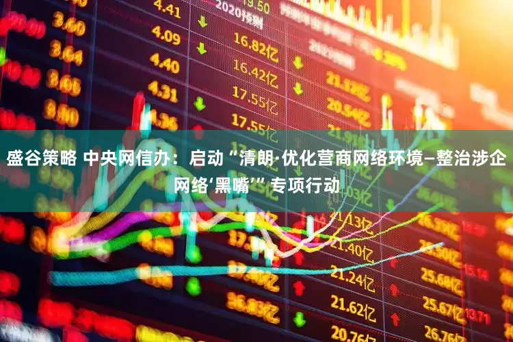盛谷策略 中央网信办：启动“清朗·优化营商网络环境—整治涉企网络‘黑嘴’”专项行动