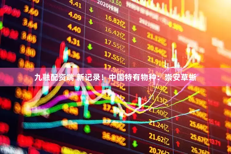九融配资端 新记录！中国特有物种：崇安草蜥