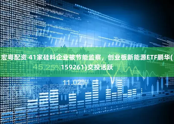 宏粤配资 41家硅料企业被节能监察，创业板新能源ETF鹏华(159261)交投活跃