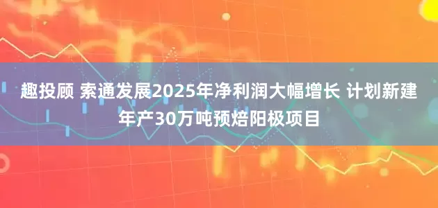 趣投顾 索通发展2025年净利润大幅增长 计划新建年产30万吨预焙阳极项目